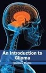 Matthew Martin - An Introduction to Glioma
