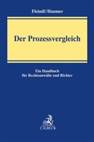 Huber Fleindl, Hubert Fleindl, Christine Haumer - Der Prozessvergleich