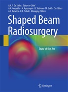Nzhde Agazaryan, Nzhde Agazaryan et al, Aaron J. Burwick, Antonio A. F. De Salles, Alessandr Gorgulho, Alessandra Gorgulho... - Shaped Beam Radiosurgery