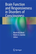 G Sannita, G Sannita, Marti M Monti, Martin M Monti, Martin M. Monti, Walter G. Sannita - Brain Function and Responsiveness in Disorders of Consciousness