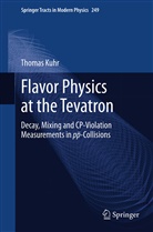 Thomas Kuhr - Flavor Physics at the Tevatron