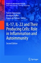 Franco Di Padova, Valérie Quesniaux, Bernhar Ryffel, Bernhard Ryffel - IL-17, IL-22 and Their Producing Cells: Role in Inflammation and Autoimmunity
