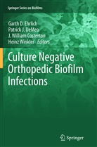 J. William Costerton, Patrick J. Demeo, Garth D. Ehrlich, Patric J DeMeo, Patrick J DeMeo, J William Costerton et al... - Culture Negative Orthopedic Biofilm Infections