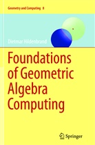 Dietmar Hildenbrand - Foundations of Geometric Algebra Computing