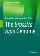 Kole, Kole, Chittaranjan Kole, Xiaow Wang, Xiaowu Wang - The Brassica rapa Genome