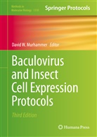 MURHAMMER DAVID W., David W. Murhammer, Davi W Murhammer, David W Murhammer - Baculovirus and Insect Cell Expression