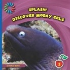 Kathryn Beaton - Discover Moray Eels