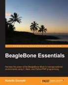 Rodolfo Giometti - Beaglebone Essentials