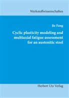 Jie Fang - Cyclic plasticity modeling and multiaxial fatigue assessment for an austenitic steel