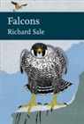 Richard Sale - Falcons