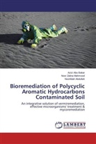 No Abdullah, Noorlidah Abdullah, Aziz Abu Bakar, Azizi Abu Bakar, Noor Zalin Mahmood, Noor Zalina Mahmood - Bioremediation of Polycyclic Aromatic Hydrocarbons Contaminated Soil