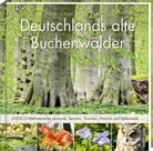 Karl Heinz Engel, Karl-Heinz Engel - Deutschlands alte Buchenwälder