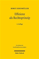 Horst Eidenmüller - Effizienz als Rechtsprinzip