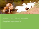 Katrin Lösch - Kuvasz und Golden Retriever