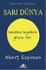 Albert Espinosa - Sari Dünya