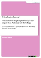 Bettina Prukker-Losonczi - Soziokulturelle Tragfähigkeitsanalyse des ungarischen Nationalpark Hortobágy
