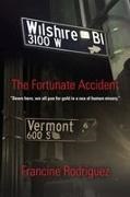 Francine Rodriguez - The Fortunate Accident
