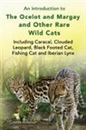 Colette Anderson - An introduction to The Ocelot and Margay and Other Rare Wild Cats Including Caracal, Clouded Leopard, Black Footed Cat, Fishing Cat and Iberian Lynx