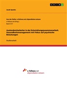 Jacob Spanke - Auslandsmitarbeiter in der Entwicklungszusammenarbeit. Gesundheitsmanagement mit Fokus auf psychische Belastungen