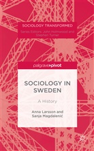 Ann Larsson, Anna Larsson, Anna Magdalenic Larsson, Sanja Magdaleni?, Sanja Magdalenic - Sociology in Sweden