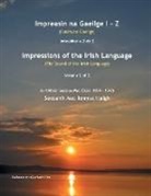 Seosamh Mac Ionnrachtaigh - Impreasin na Gaeilge I - Z