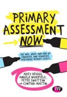 Mary Briggs, Mary Woodfield Briggs, Cynthia Martin, Peter Swatton, Angela Woodfield - Primary Assessment Now