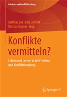 Mathias Bös, Lar Schmitt, Lars Schmitt, Kerstin Zimmer - Konflikte vermitteln?