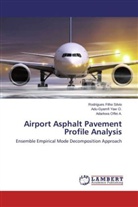 Offei A, Adarkwa Offei A., Rodrigues Filho Silvio, Adu-Gyamfi Yaw O, Adu-Gyamfi Yaw O. - Airport Asphalt Pavement Profile Analysis