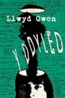 Llwyd Owen - Y Ddyled