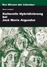 Diemo Landgraf - Kulturelle Hybridisierung bei José María Arguedas