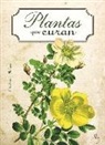 Luis T. Melgar - Plantas que Curan