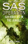 Shaun Clarke, Clarke Shaun - SAS Operation