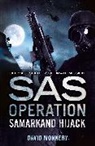 David Monnery, Monnery David - SAS Operation