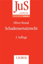 Oliver Brand, Oliver (Prof. Dr.) Brand - Schadensersatzrecht