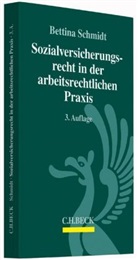 Bettina Schmidt - Sozialversicherungsrecht in der arbeitsrechtlichen Praxis
