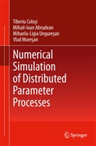 Mihail-Ioa Abrudean, Mihail-Ioan Abrudean, Tiberi Colosi, Tiberiu Colosi, Vlad Muresan, M Unguresan... - Numerical Simulation of Distributed Parameter Processes