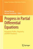 Michae Reissig, Michael Reissig, Ruzhansky, Ruzhansky, Michael Ruzhansky, Michael V. Ruzhansky - Progress in Partial Differential Equations