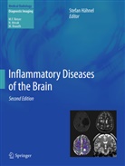 Stefa Hähnel, Stefan Hähnel - Inflammatory Diseases of the Brain