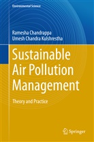 Umesh Chandra Kulshrestha, Ramesh Chandrappa, Ramesha Chandrappa, Umesh Chandra Kulshrestha - Sustainable Air Pollution Management