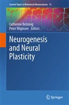 Catherin Belzung, Catherine Belzung, Wigmore, Wigmore, Peter Wigmore - Neurogenesis and Neural Plasticity