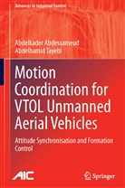 Abdelkade Abdessameud, Abdelkader Abdessameud, Abdelhamid Tayebi - Motion Coordination for VTOL Unmanned Aerial Vehicles