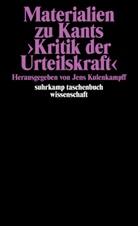 Jen Kulenkampff, Jens Kulenkampff - Materialien zu Kants >Kritik der Urteilskraft<