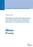 Markus Zeis - Modellierung des Abtragprozesses der elektrochemischen Senkbearbeitung von Triebwerksschaufeln