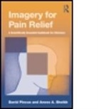 David Pincus, David Sheikh Pincus, Anees A Sheikh, Anees A. Sheikh, Sheikh Anees A. - Imagery for Pain Relief.