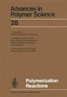 Akihiro Abe, Martin Möller, Eugene M. Terentjev - Polymerization Reactions