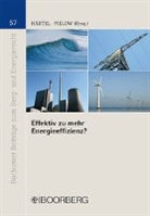 Ine Härtel, Ines Härtel, Ine Härtel (Professor Dr. iur.), Pielow, Johann-Christian Pielow, Pielow (Professo - Effektiv zu mehr Energieeffizienz?