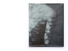 Marina Weigl, Marina Weigl, Alexander Scholz - Horse and I