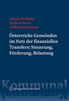 Helfried Bauer, Johann Bröthaler, Wilfried Schönbäck - Österreichs Gemeinden im Netz der finanziellen Transfers: Steuerung, Förderung, Belastung