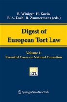 Bernhard A. Koch, Helmut Koziol, Bénédict Winiger, Reinhard Zimmermann - Essential Cases on Natural Causation
