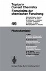 Karl-Dietrich Gundermann, William C. Herndon, Josef Michl - Photochemistry